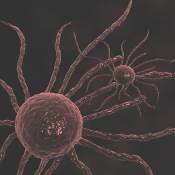 Thumbnail for Data Science: Cancer Care